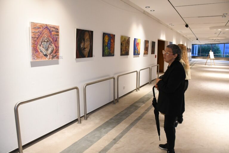 En el Teatro Argentino se exhibe una muestra con más de 130 obras elaboradas en contexto de encierro