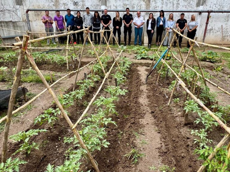 En la cárcel de Dolores culminó el curso de Huerta Agroecológica del que participaron personas privadas de libertad