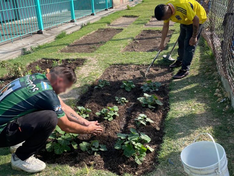 Capacitación en huerta agroecológica en la Unidad 47 San Martín