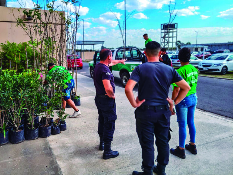 Más de cien árboles incrementarán la forestación de la Unidad 60
