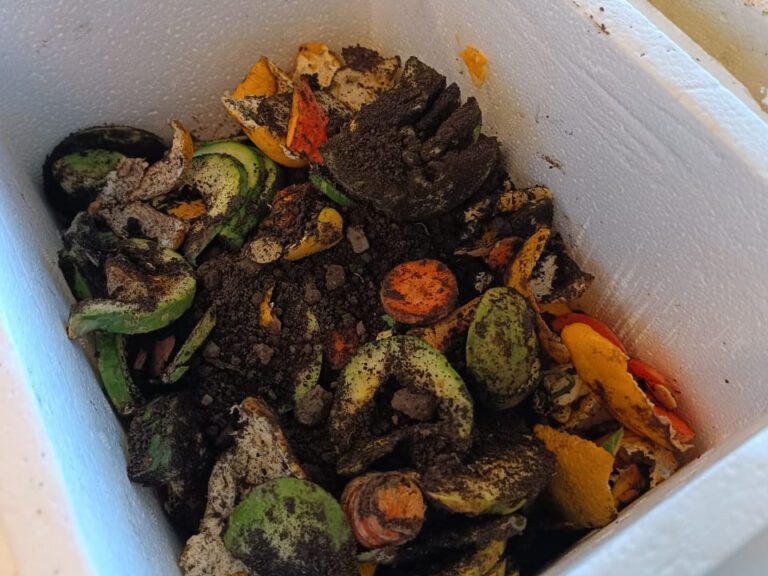 Una iniciativa que incluye formación y compromiso ambiental se desarrolló en la Unidad 27