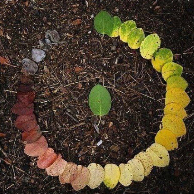 Nueva propuesta para aprender sobre el arte y la naturaleza