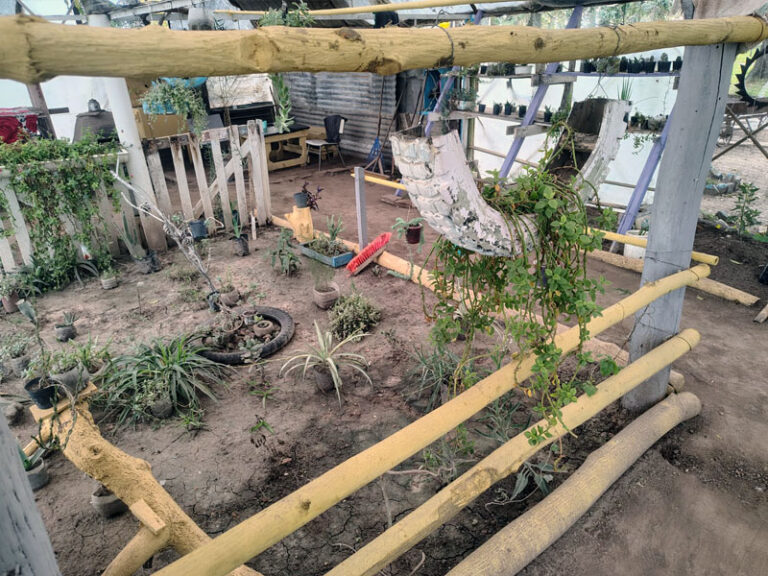 Reactivaron el vivero de la Unidad 11