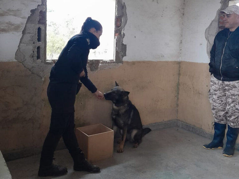 En Sierra Chica avanza la formación de guías de canes