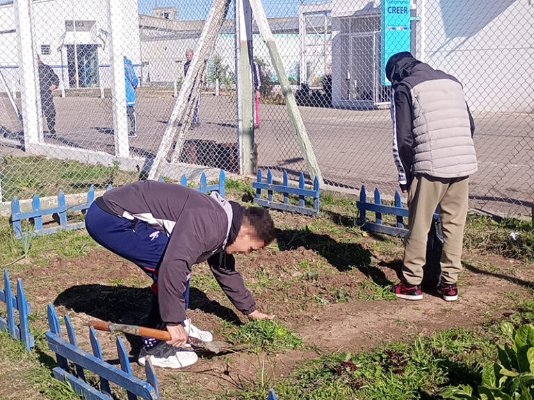 Jóvenes de la Unidad 54 participaron en tareas formativas de huerta y cultivo