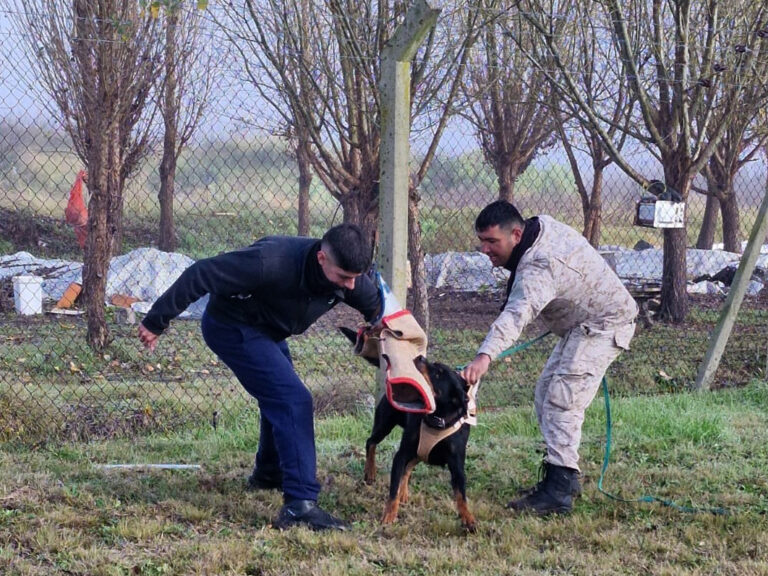 Capacitan a guías de canes de seguridad en la Unidad 17 Urdampilleta