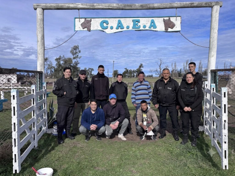 Finalizaron los trabajos voluntarios de personas privadas de la libertad en el Centro de Actividades Ecuestres Adaptadas